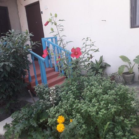 Guesthouse Zeinabi Тбилиси Екстериор снимка