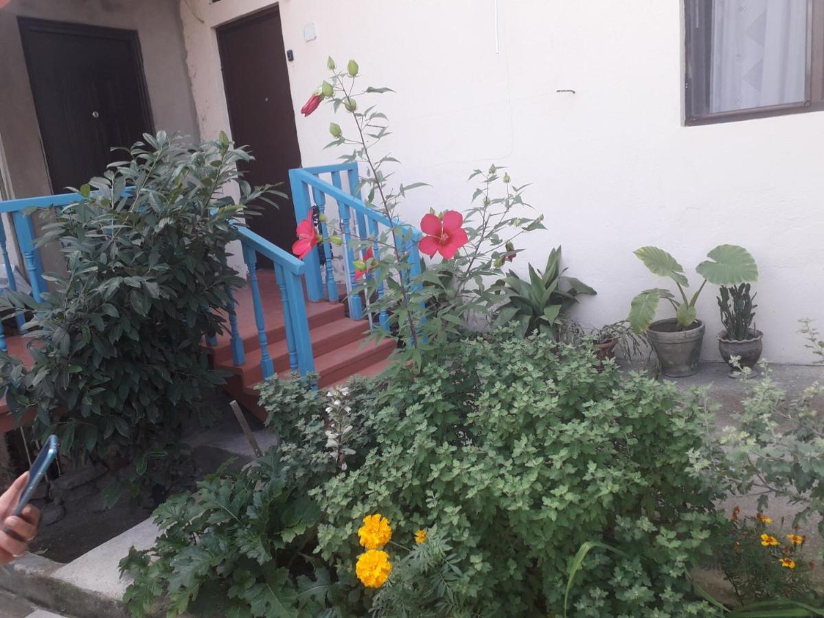 Guesthouse Zeinabi Тбилиси Екстериор снимка